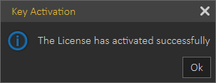 If you have a valid net connection the Professional license will be activated automatically.