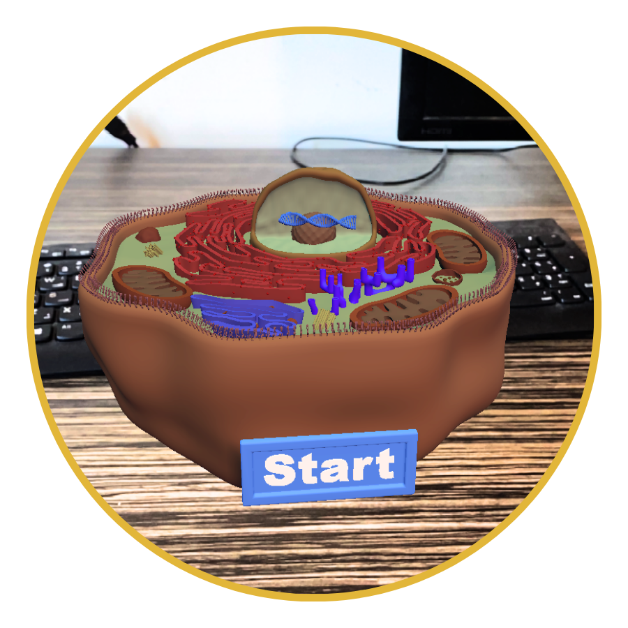 Discover Augmented Reality to explore the human cell in your classroom. Show your students the inside of a cell and explain how its parts work