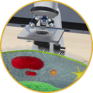 In the VR experience, users explore atomic basics: weight, number, charge, orbits, and the atom's general definition, fostering interactive learning