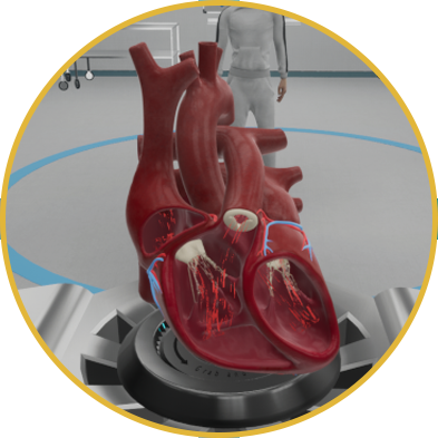 SimLab Soft VR Store Human Anatomy VR Experience