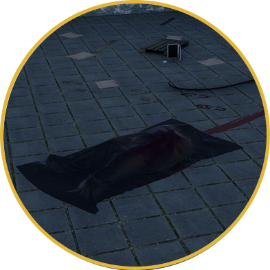 Take part in a crime scene and solve the case with the given evidences